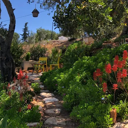 بيت للعطل Casa Pura Vida - Fantastic Sea View *