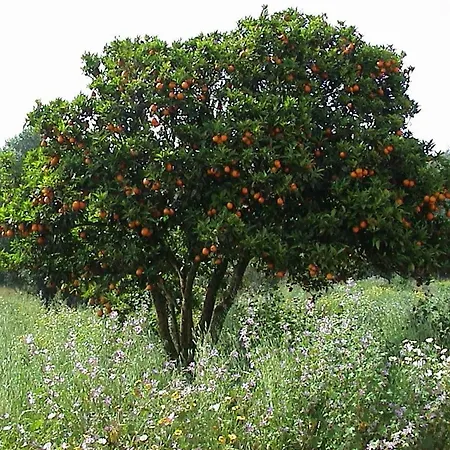 Casa Pura Vida - Fantastic Sea View بيت للعطل