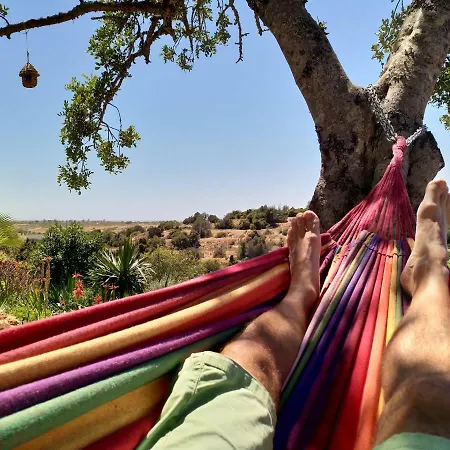 بيت للعطل Casa Pura Vida - Fantastic Sea View بيرا