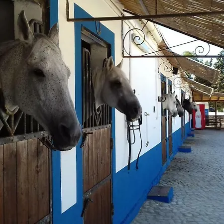 بيت للعطل Casa Pura Vida - Fantastic Sea View *