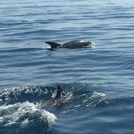 Casa Pura Vida - Fantastic Sea View פרה