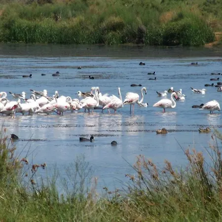 Casa Pura Vida - Fantastic Sea View Pêra