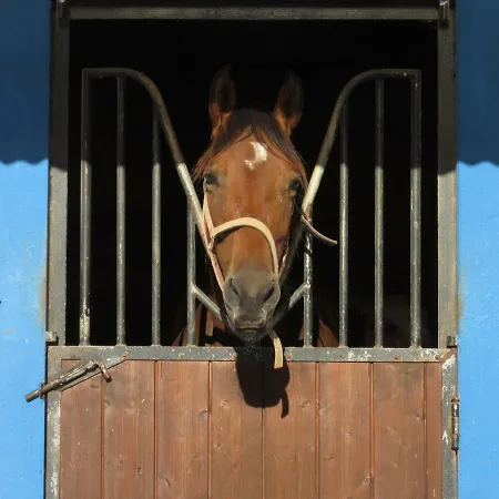 Casa Pura Vida - Fantastic Sea View