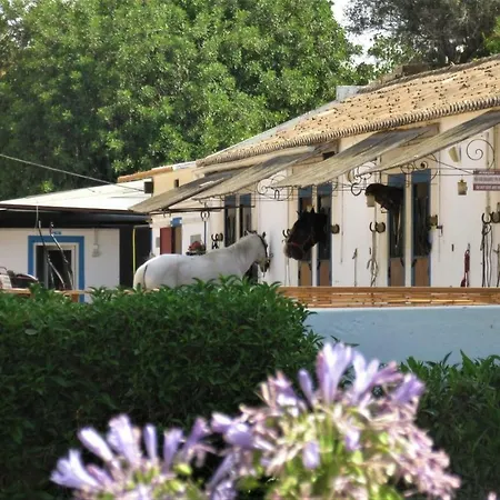 Feriehus Casa Pura Vida - Fantastic Sea View *