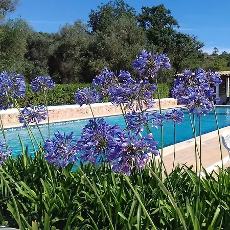 Casa Pura Vida - Fantastic Sea View Feriehus *