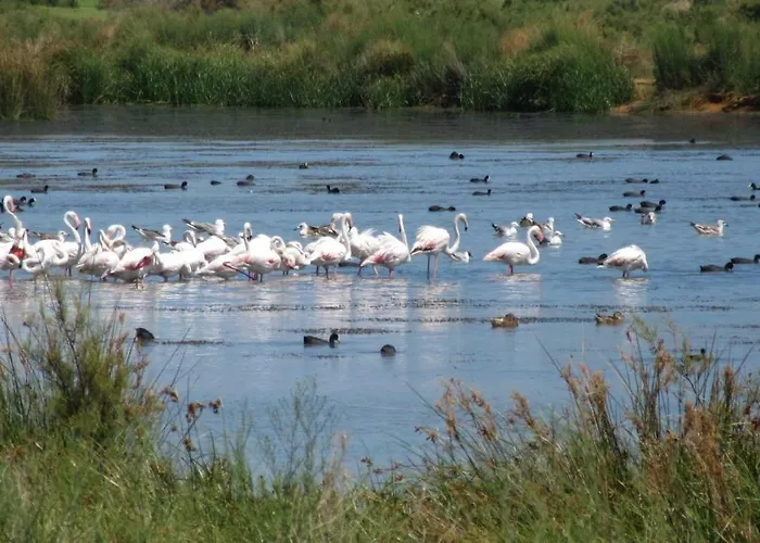 Casa Pura Vida - Fantastic Sea View 페라구도