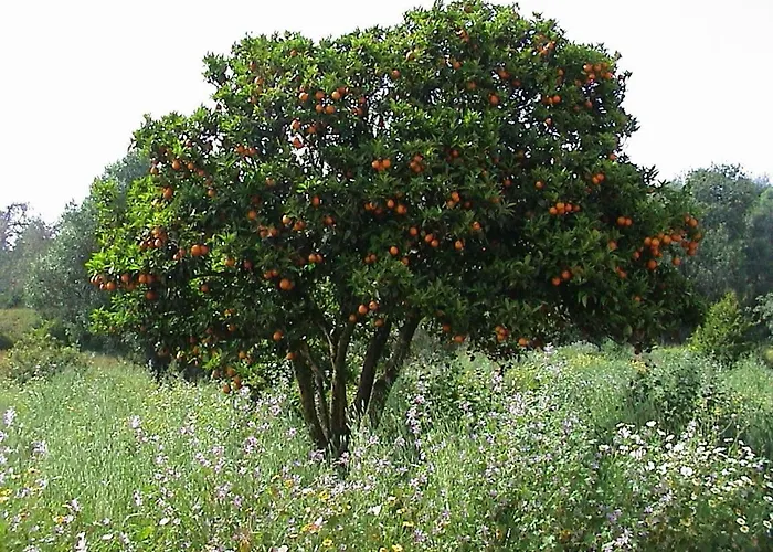 Casa Pura Vida - Fantastic Sea View Casa vacanze