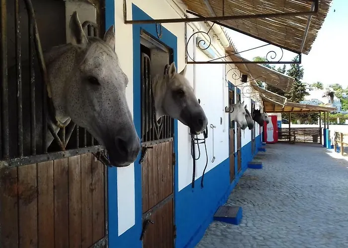 펜션 Casa Pura Vida - Fantastic Sea View *