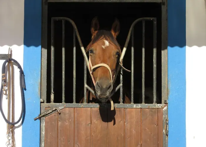 Casa Pura Vida - Fantastic Sea View