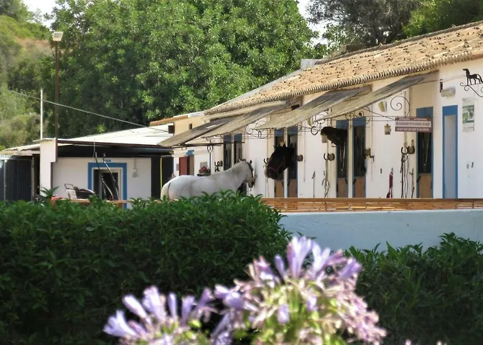 펜션 Casa Pura Vida - Fantastic Sea View *