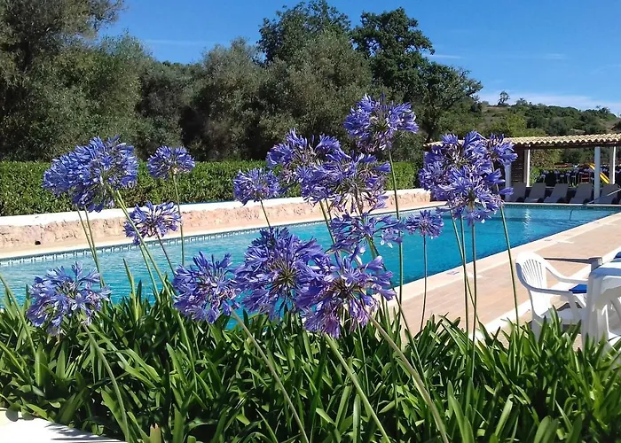 Casa Pura Vida - Fantastic Sea View Casa vacanze *